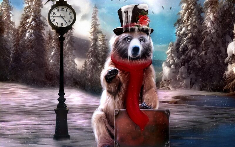 bear in winter attire