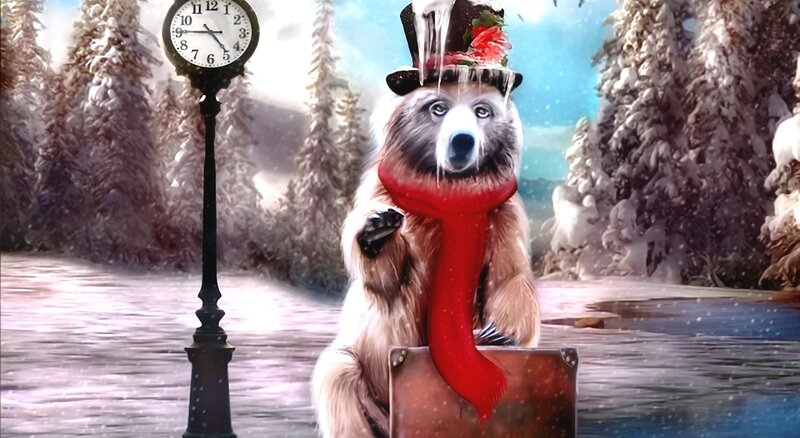 Bear in Winter Coat