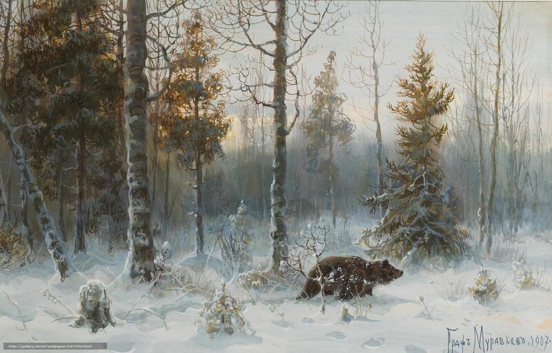 Bear in winter forest