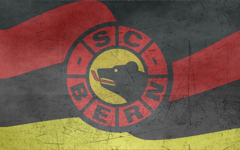 Bear Logo on Flag — Red