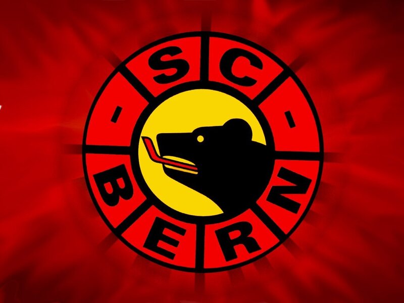 Bear Logo on Red Background