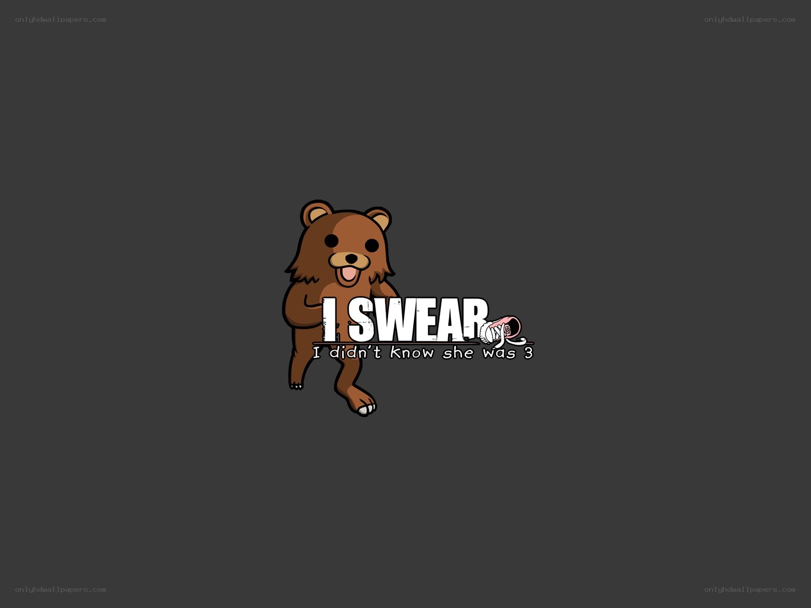 bear meme with text