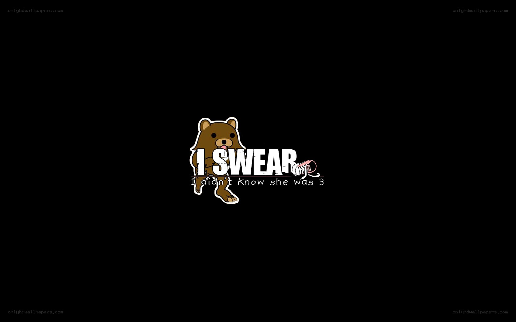 bear meme with text