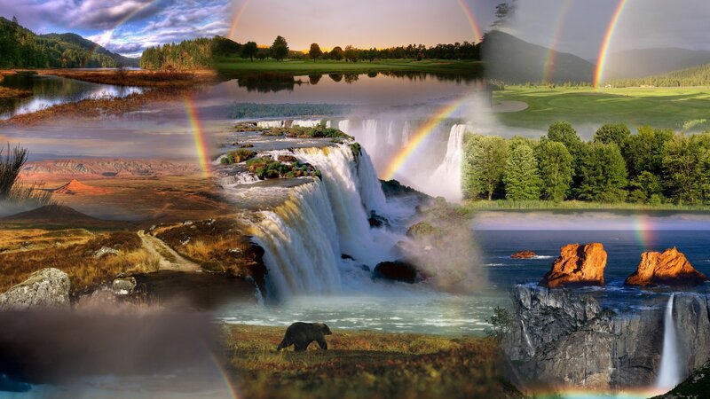 Bear Near Waterfall — Green
