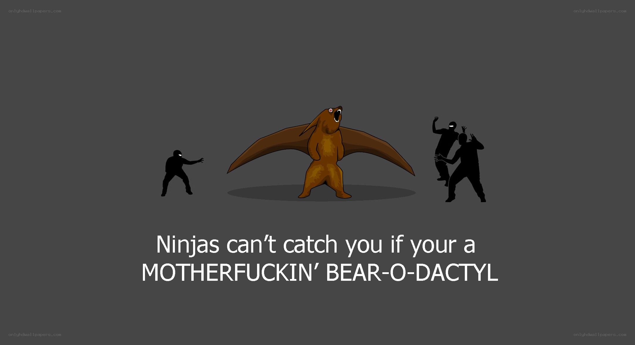 Bear-o-dactyl vs ninjas