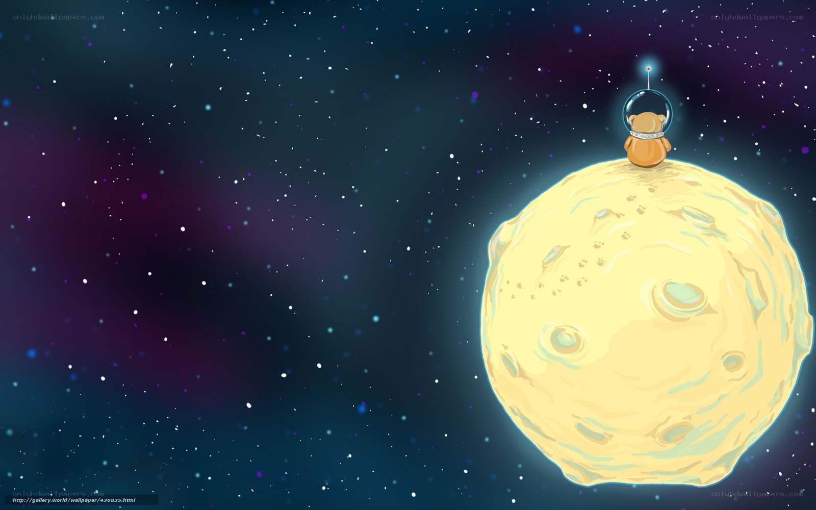 bear on a moon in space
