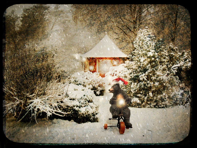 Bear on a tricycle in snow
