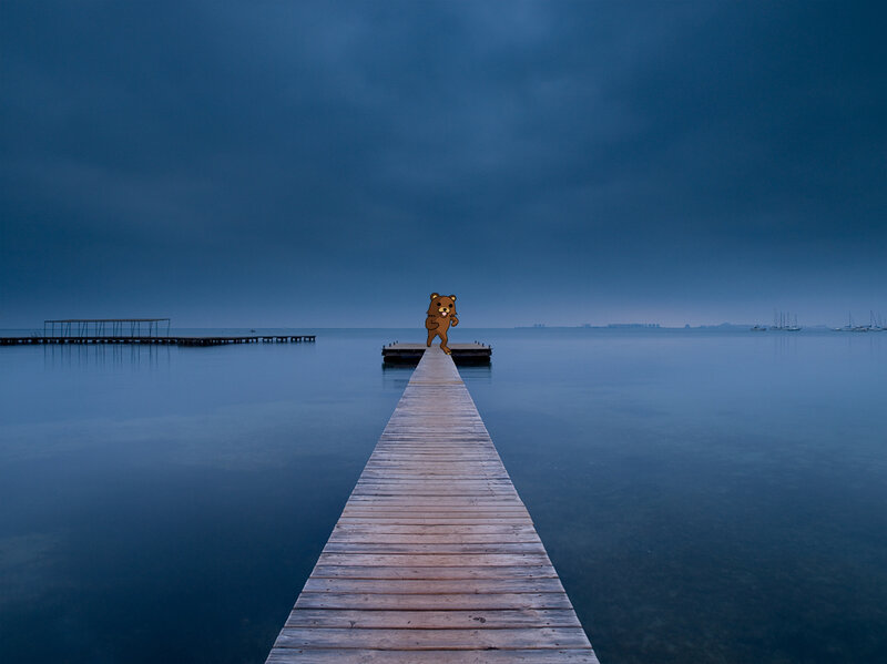 bear on a wooden pier