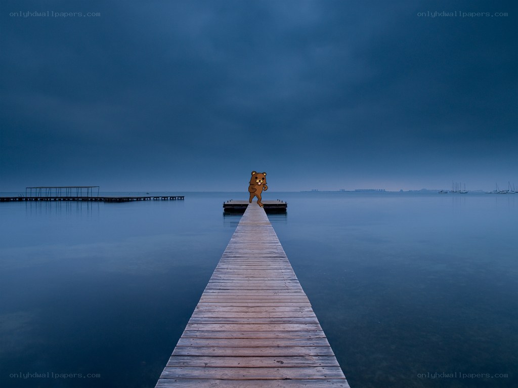 bear on a wooden pier