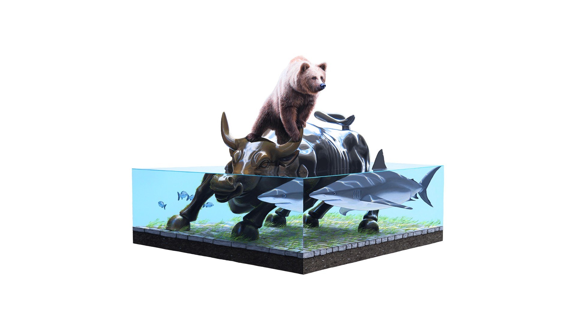 Bear on Bull in Aquarium