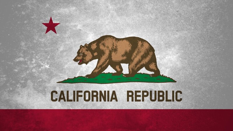 Bear on Flag — Gray