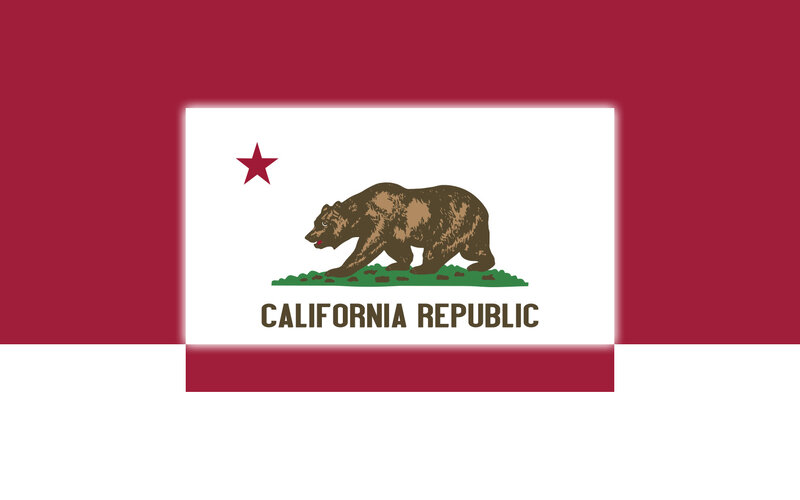 Bear on Flag