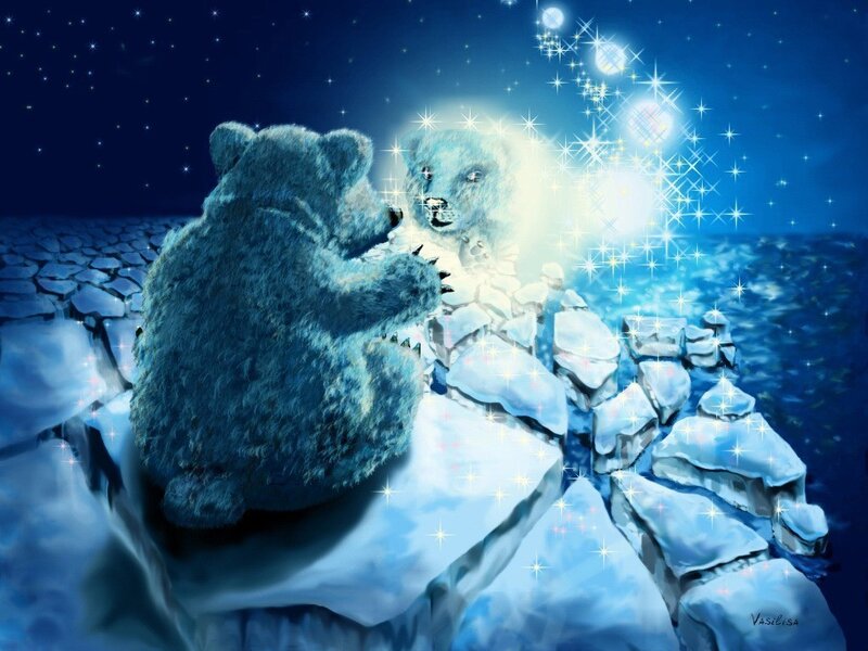 bear on ice with starlight
