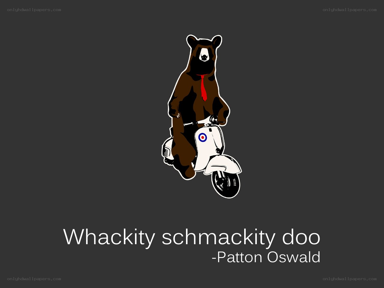 bear on scooter illustration