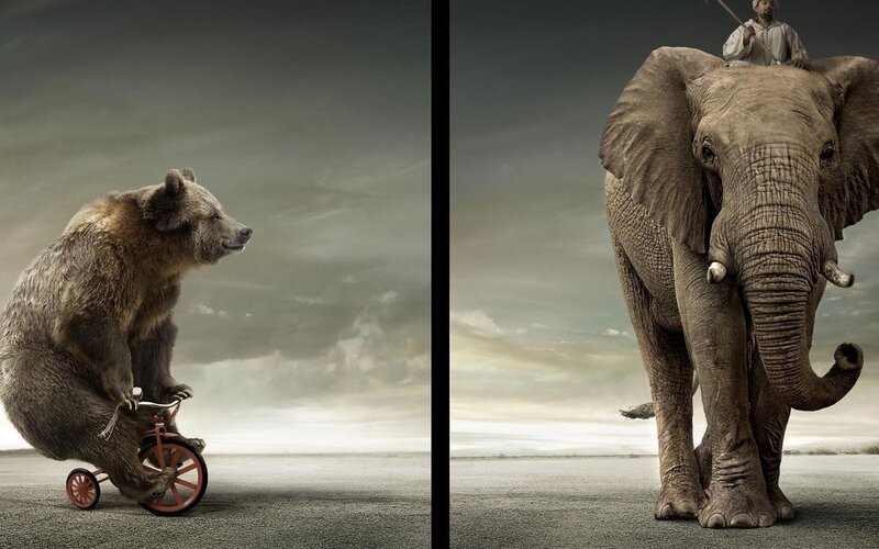 bear on tricycle and elephant