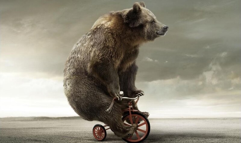 Bear on Tricycle — Brown, Dramatic