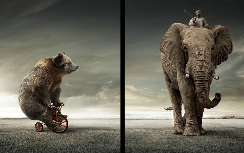 Bear on Tricycle — Gray, Dramatic, Digital Art