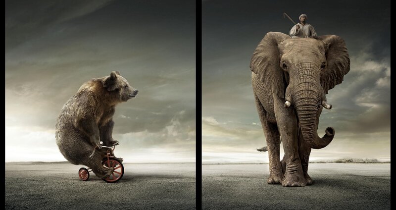 Bear on Tricycle — Gray
