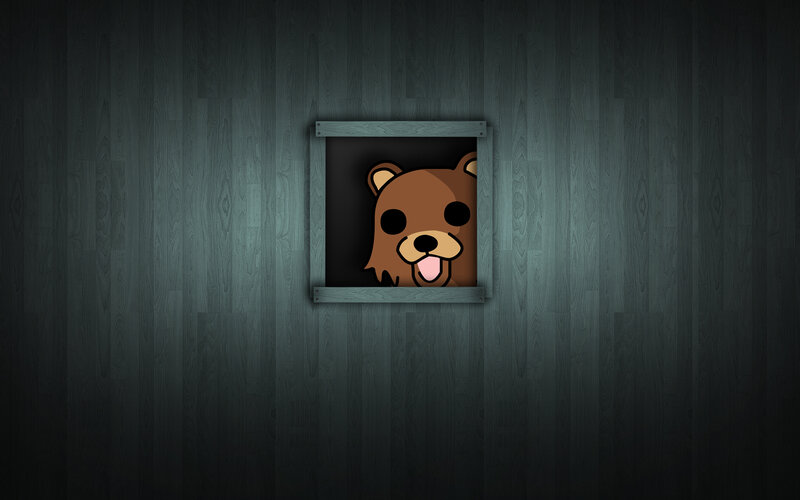 bear peeking through window