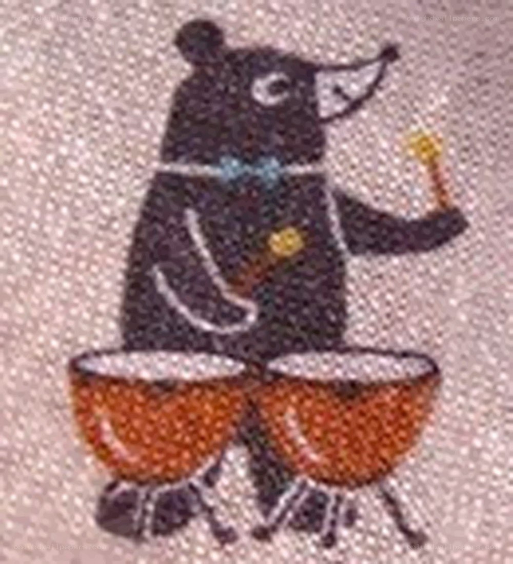 bear playing bongos