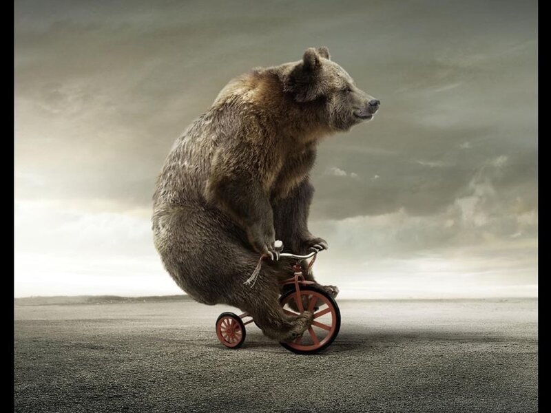 bear riding a tricycle