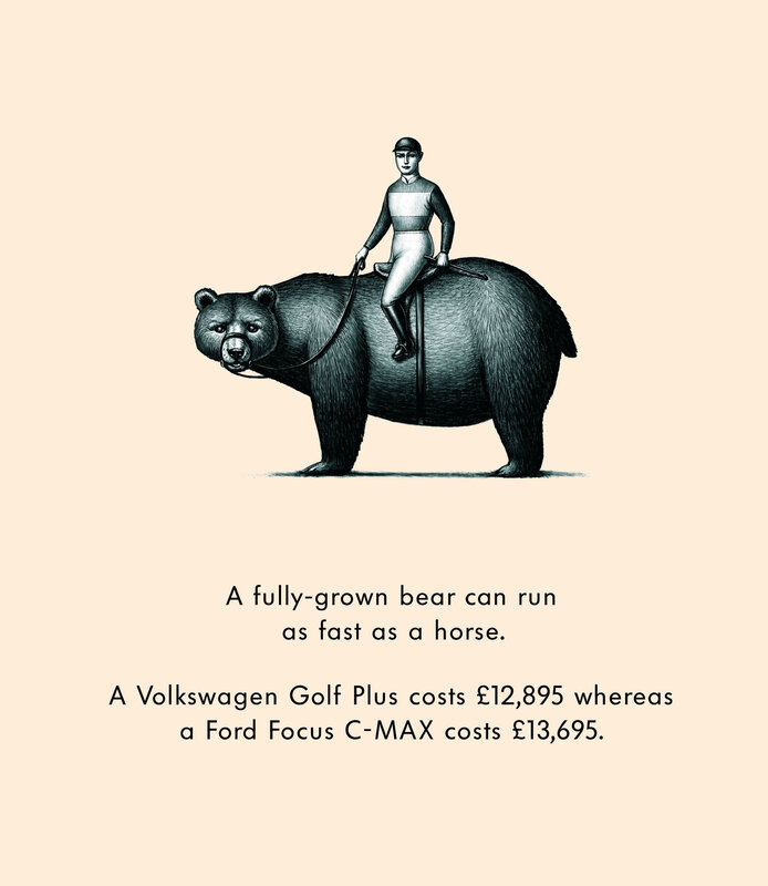 bear riding illustration