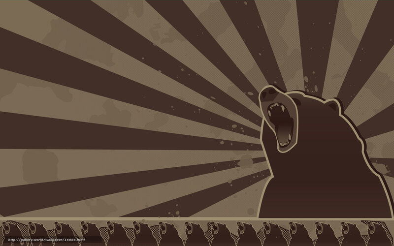 bear roaring wallpaper
