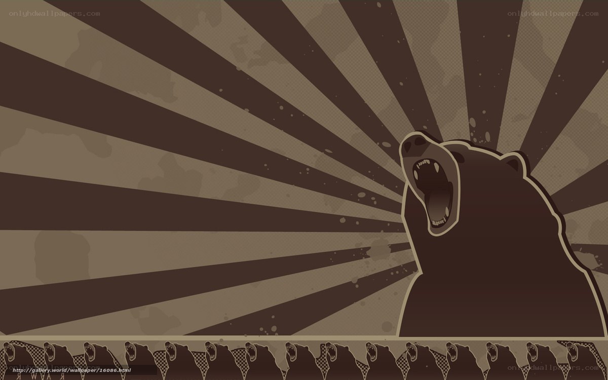 bear roaring wallpaper