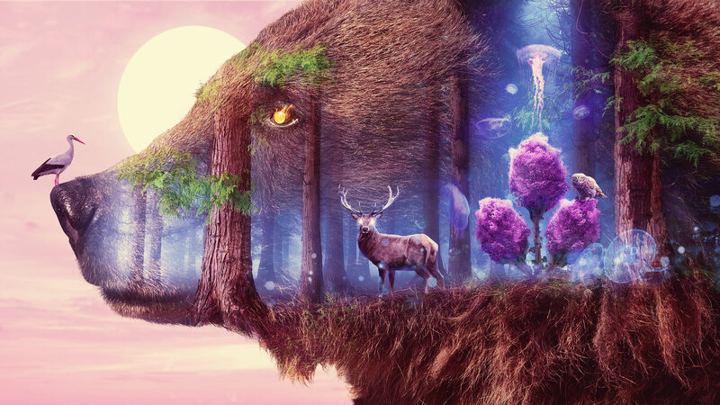 Bear-shaped Forest
