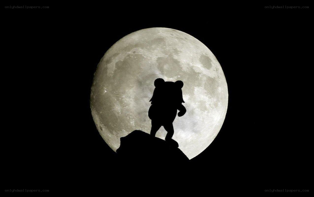 bear silhouette against full moon