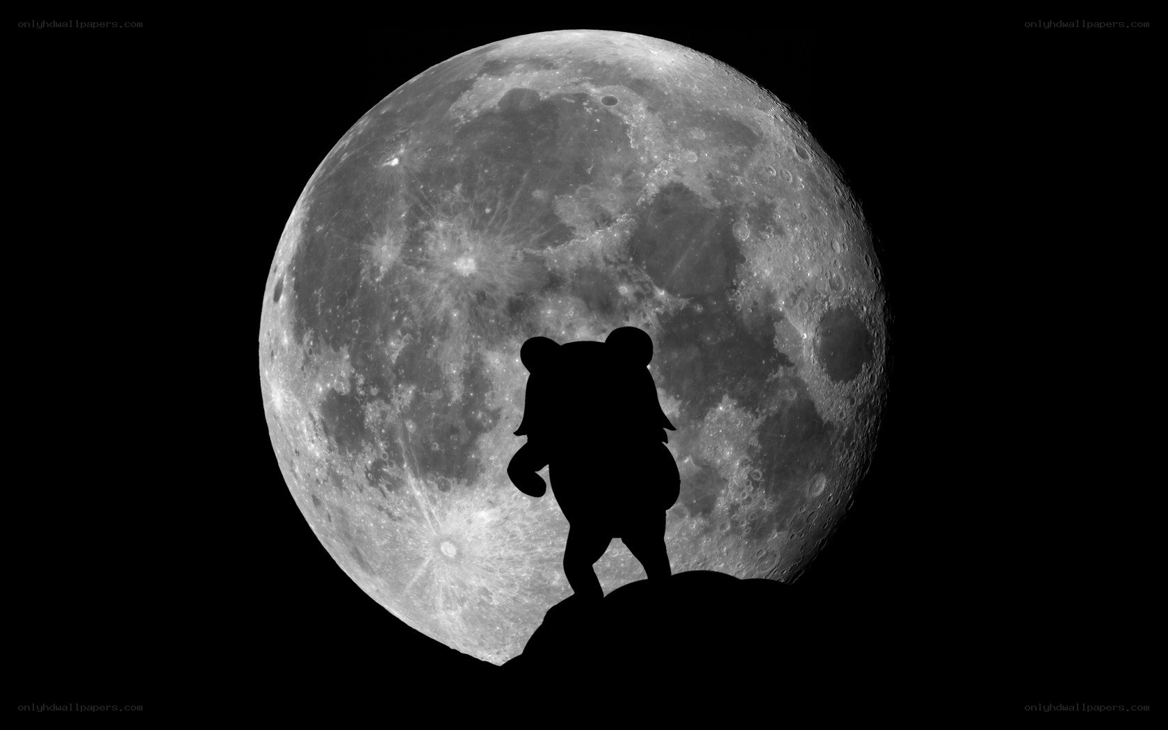 bear silhouette on moon