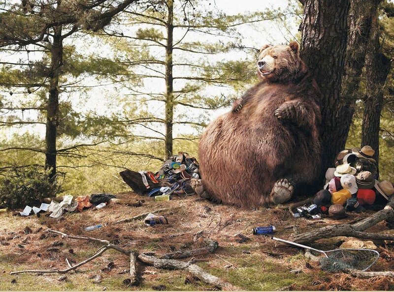 Bear Sitting in Forest — Brown