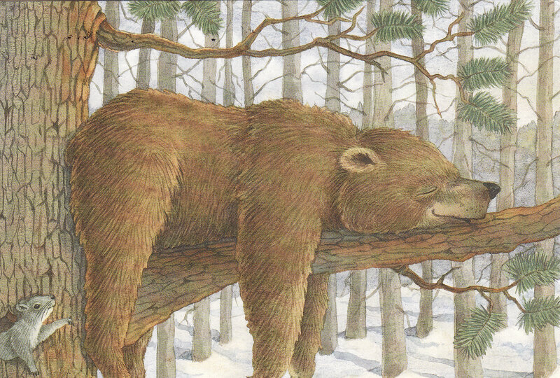 Bear sleeping in a tree