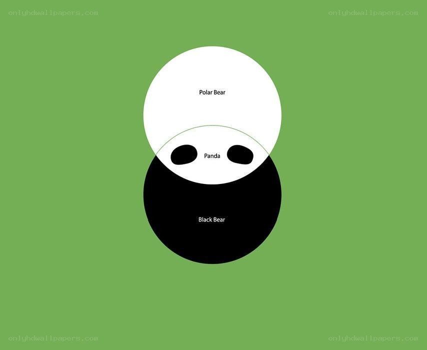 Bear species Venn diagram