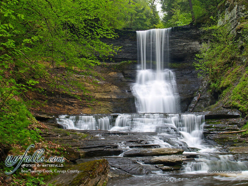 Bear Swamp Creek Waterfall
