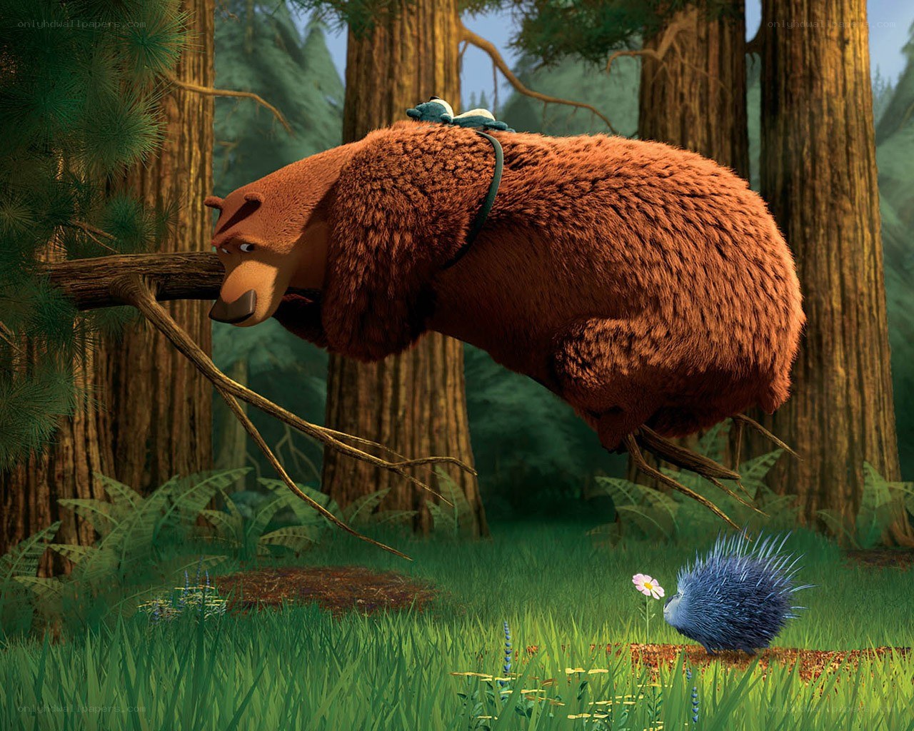 Bear swinging on a branch