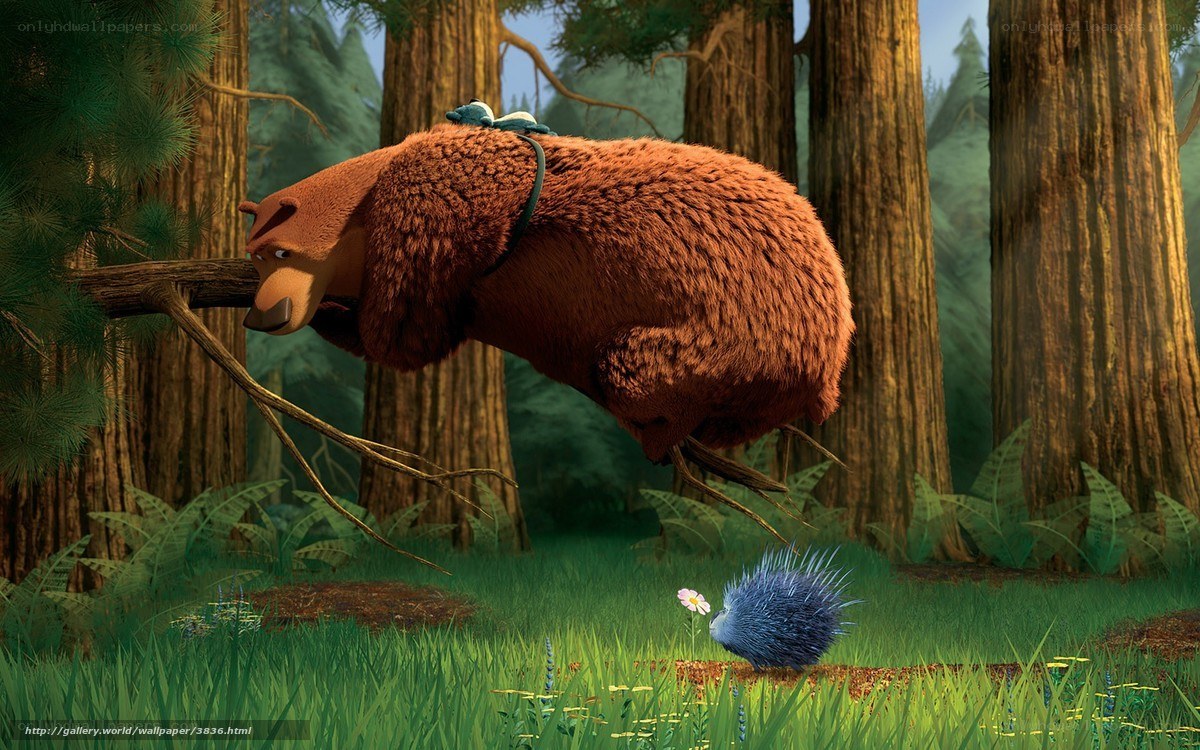 Bear swinging on a branch