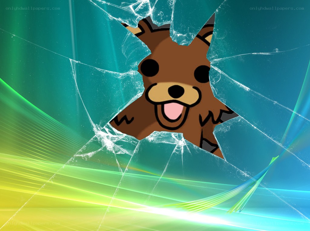 bear through broken glass