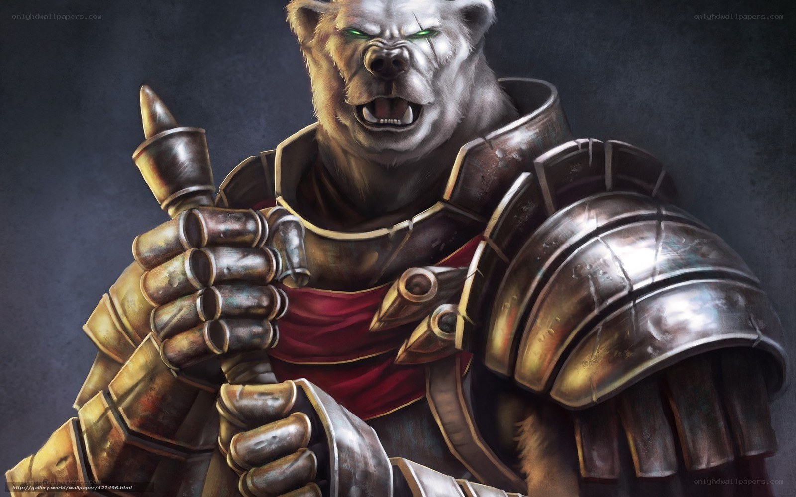 bear warrior in armor