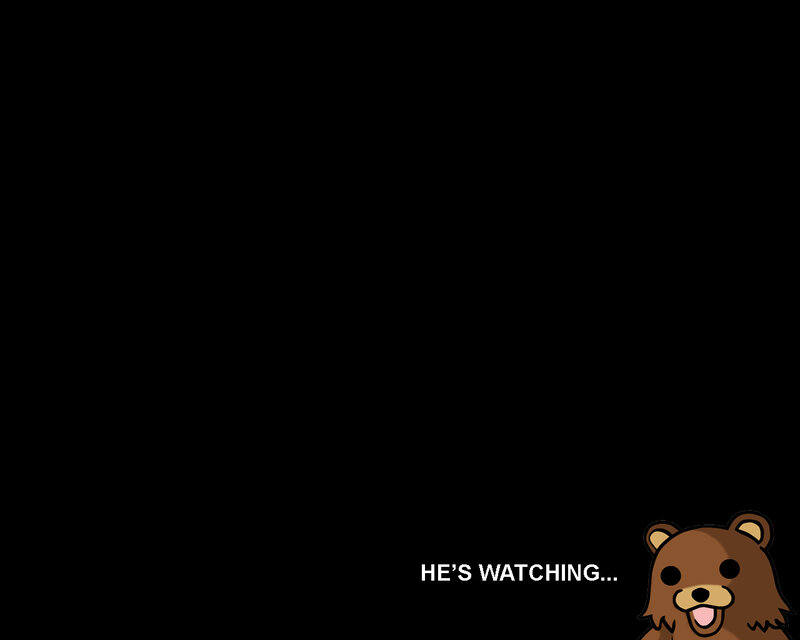 bear watching text