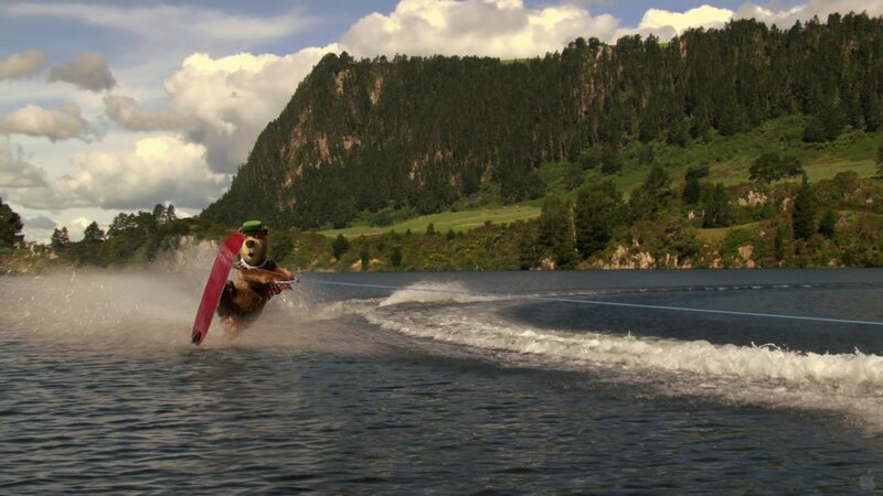 Bear Water Skiing — Blue