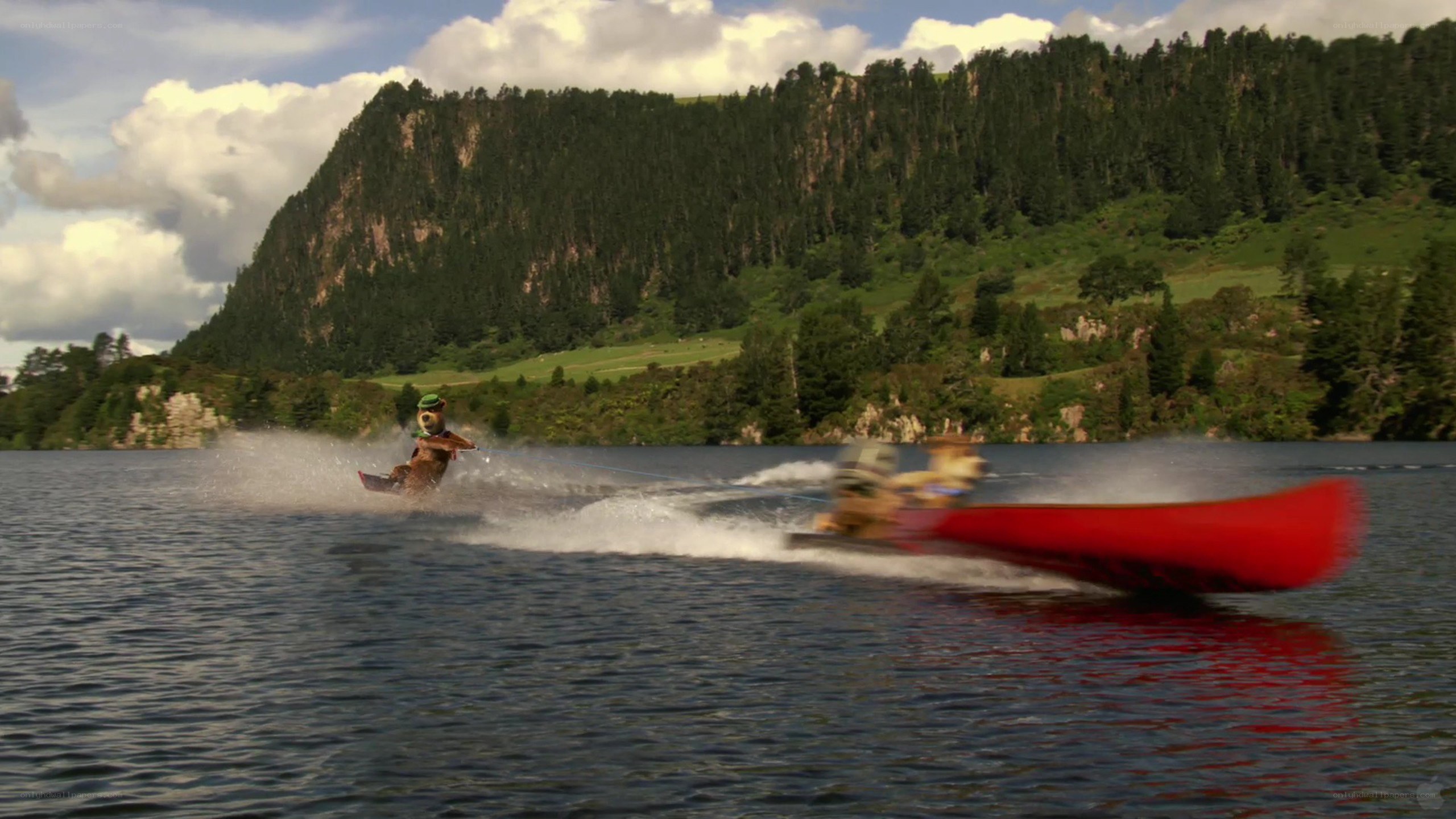 bear water skiing on lake