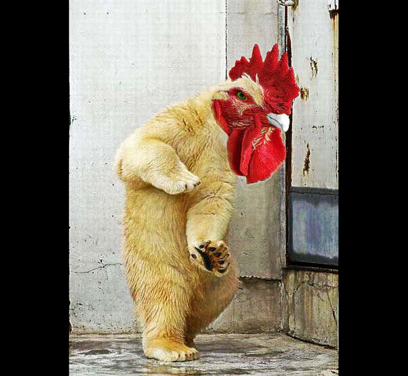 bear wearing chicken mask