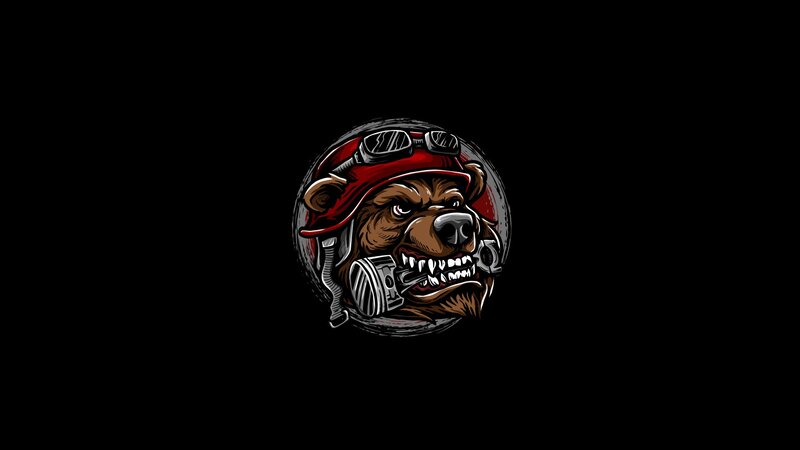 Bear Wearing Helmet