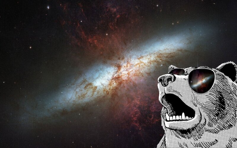 Bear Wearing Sunglasses — Black