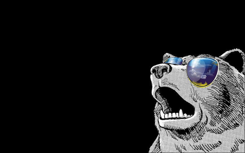 bear wearing sunglasses