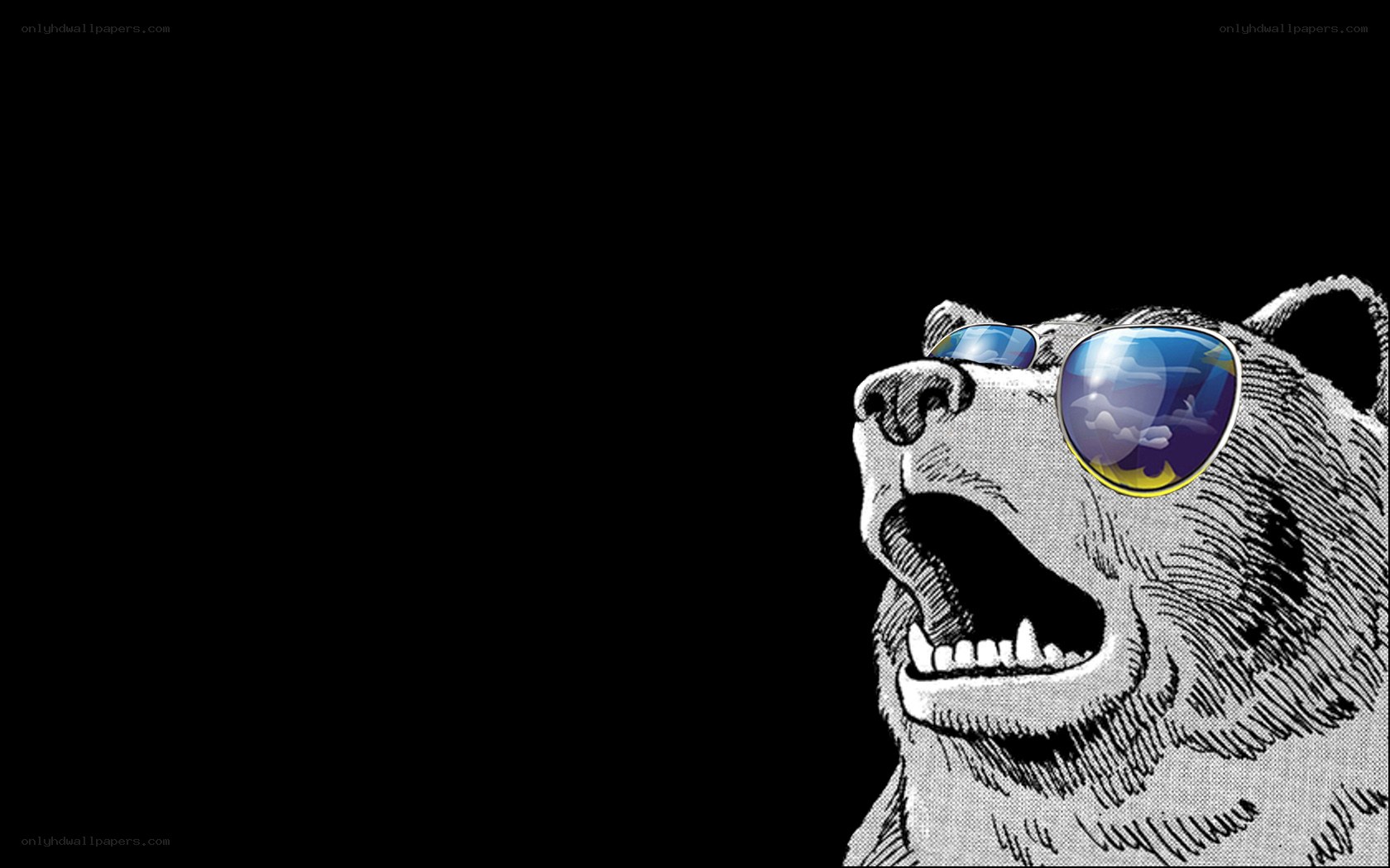 bear wearing sunglasses
