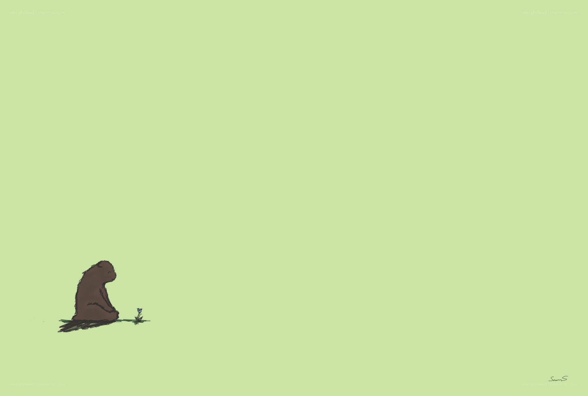 bear with a flower