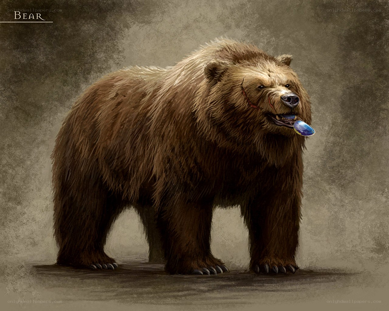 Bear with a gem
