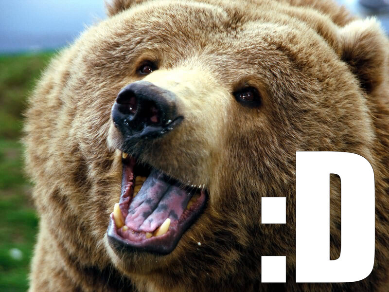 bear with a smile